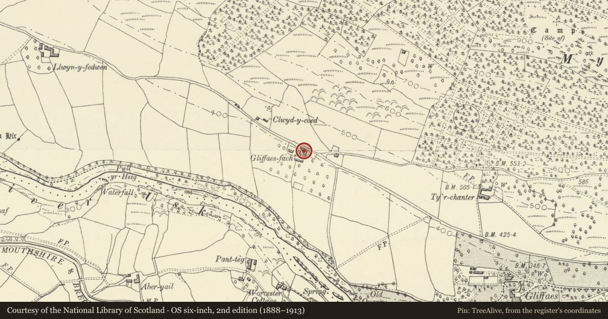 Ordnance Survey six-inch map, 2nd edition (1888–1913) covering the location of Gliffaes Fach, Llanfihangel Cwmdu with Bwlch and Cathedine, Powys, with a pin at the register's coordinates