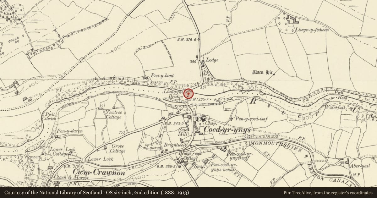 Ordnance Survey six-inch map, 2nd edition (1888–1913) covering the location of Llangynidr Bridge (partly in Llangynidr community), Llanfihangel Cwmdu with Bwlch and Cathedine, Powys, with a pin at the register's coordinates