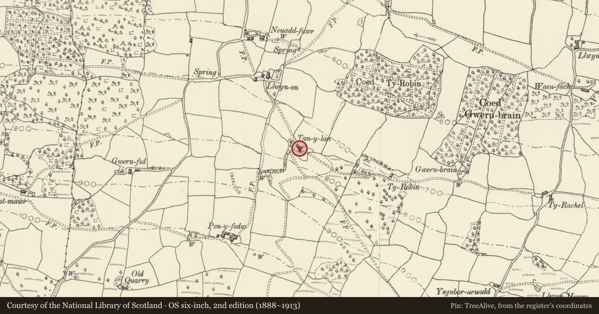 Ordnance Survey six-inch map, 2nd edition (1888–1913) covering the location of Tan-y-lan, Llangattock, Powys, with a pin at the register's coordinates