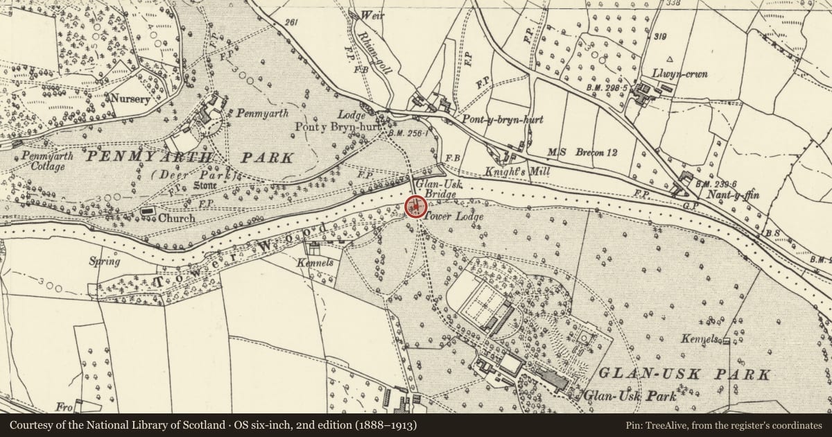 Ordnance Survey six-inch map, 2nd edition (1888–1913) covering the location of Tower Lodge and Glanusk Bridge (partly in Llanfihangel Cwmdu with Bwlch and Cathedine community), Llangattock, Powys, with a pin at the register's coordinates