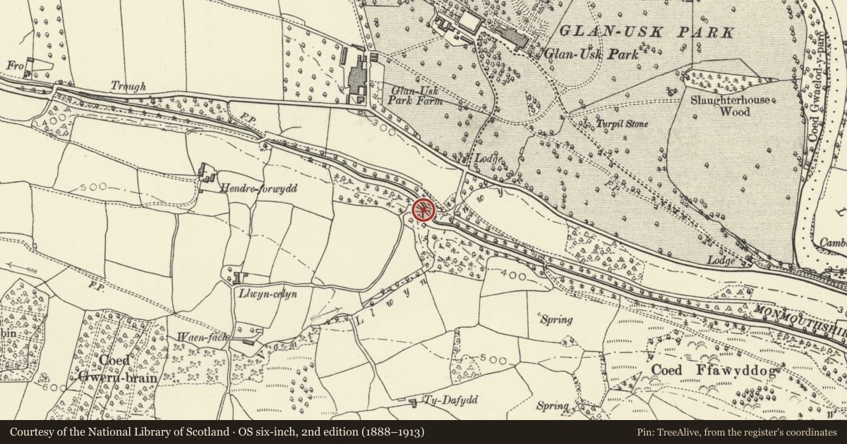 Ordnance Survey six-inch map, 2nd edition (1888–1913) covering the location of Llwyncelyn Bridge (Canal Bridge No 121), Llangattock, Powys, with a pin at the register's coordinates