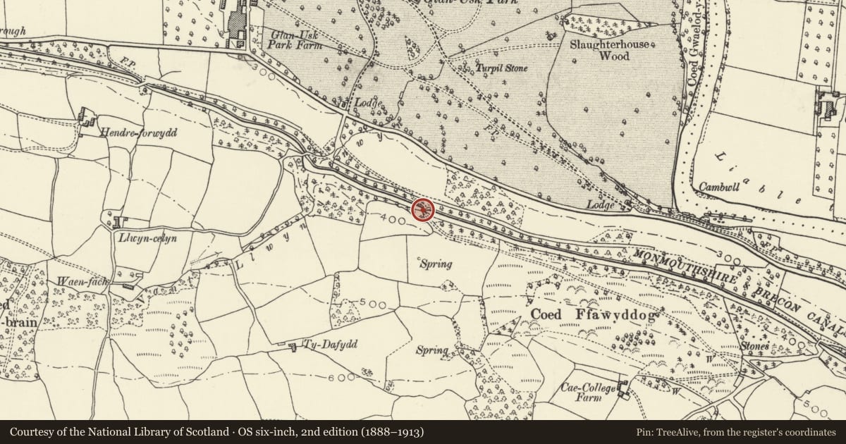 Ordnance Survey six-inch map, 2nd edition (1888–1913) covering the location of Baylis Bridge (Canal Bridge No 120), Llangattock, Powys, with a pin at the register's coordinates