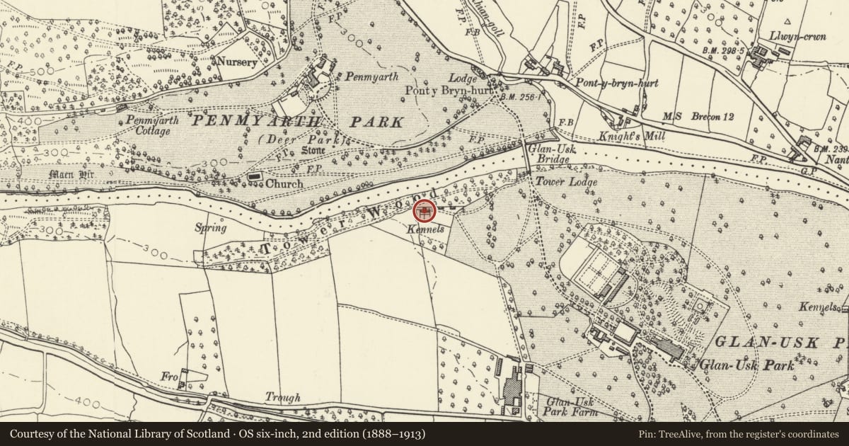 Ordnance Survey six-inch map, 2nd edition (1888–1913) covering the location of Towerwood Kennels, Llangattock, Powys, with a pin at the register's coordinates