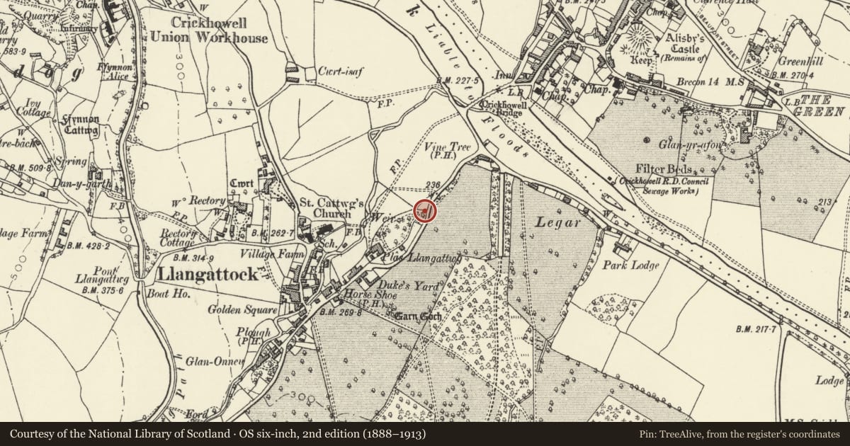 Ordnance Survey six-inch map, 2nd edition (1888–1913) covering the location of Gates and gate-piers at main entrance to Plas Llangattwg, Llangattock, Powys, with a pin at the register's coordinates