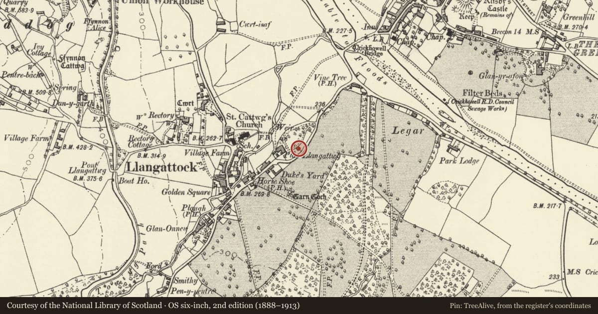 Ordnance Survey six-inch map, 2nd edition (1888–1913) covering the location of 'Peach House' at Plas Llangattwg including attached former boiler-house, Llangattock, Powys, with a pin at the register's coordinates