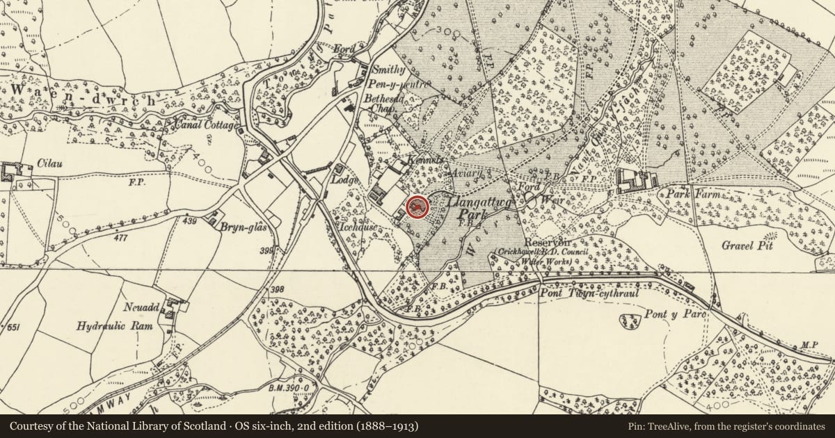 Ordnance Survey six-inch map, 2nd edition (1888–1913) covering the location of Llangattock Park House, Powys, with a pin at the register's coordinates
