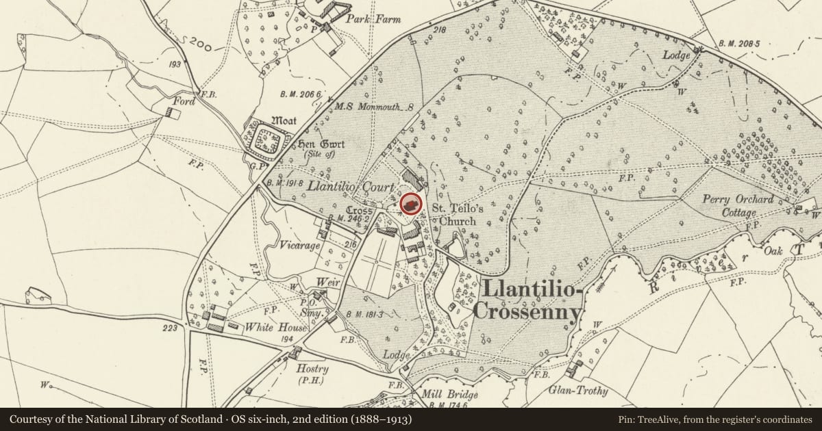 Ordnance Survey six-inch map, 2nd edition (1888–1913) covering the location of Church of St Teilo, Whitecastle, Monmouthshire, with a pin at the register's coordinates