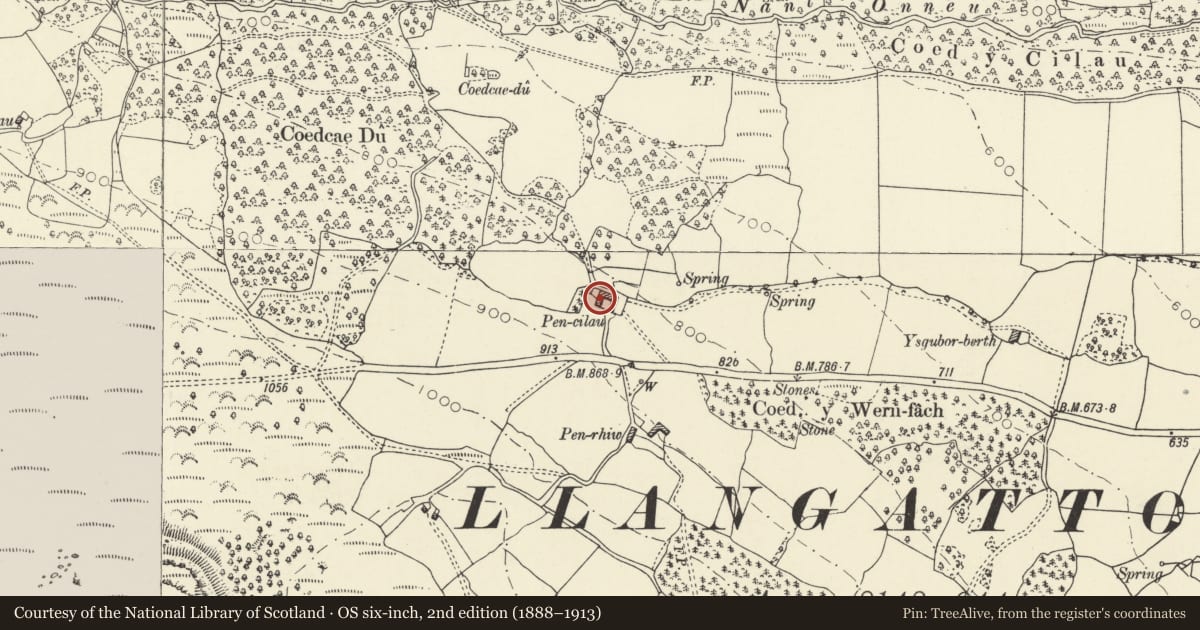 Ordnance Survey six-inch map, 2nd edition (1888–1913) covering the location of Pen-Cilau, Llangattock, Powys, with a pin at the register's coordinates