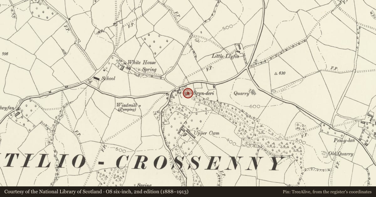 Ordnance Survey six-inch map, 2nd edition (1888–1913) covering the location of Brynderi House, Whitecastle, Monmouthshire, with a pin at the register's coordinates