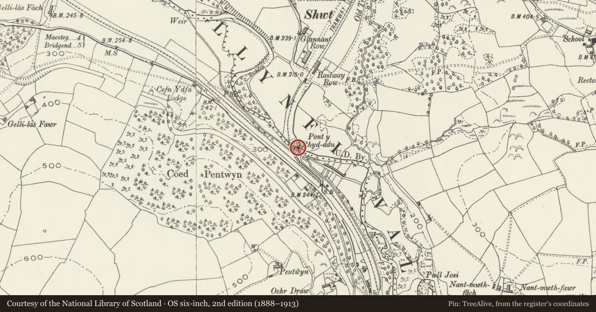 Ordnance Survey six-inch map, 2nd edition (1888–1913) covering the location of Pont-y-rhyd-ddu (partly in Garw Valley community), Bridgend, with a pin at the register's coordinates