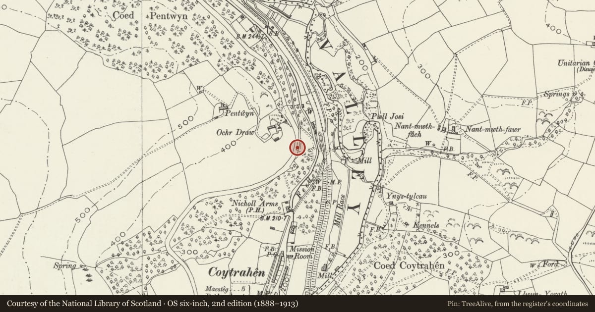 Ordnance Survey six-inch map, 2nd edition (1888–1913) covering the location of Walls flanking the inclined plane joining the Bettws tramway to the DLP Railway, Llangynwyd Lower, Bridgend, with a pin at the register's coordinates