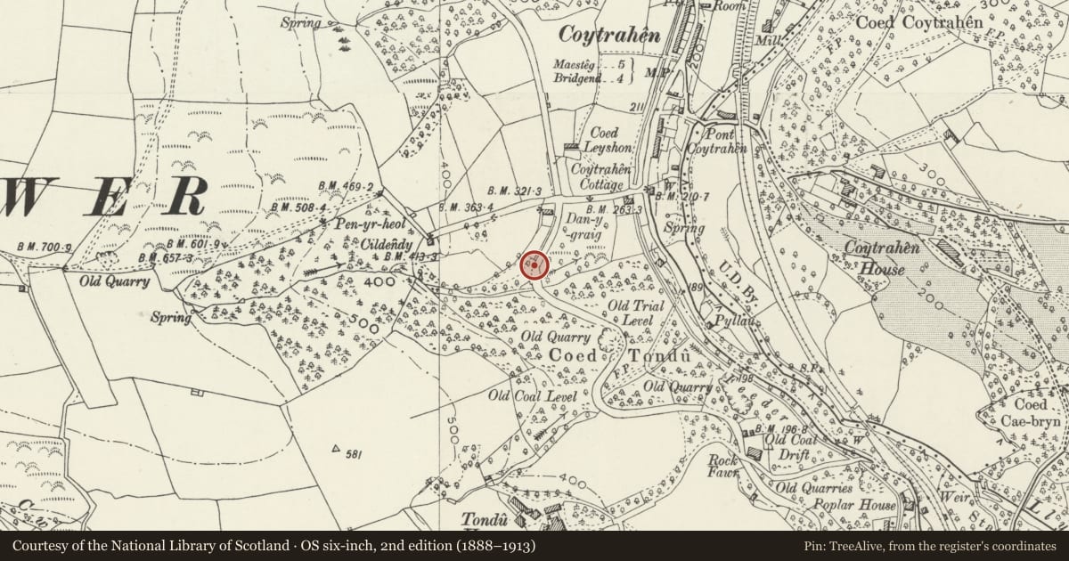 Ordnance Survey six-inch map, 2nd edition (1888–1913) covering the location of Abutments to overbridge/loading bay on the former Duffryn Llynvi and Porthcawl Railway, Llangynwyd Lower, Bridgend, with a pin at the register's coordinates