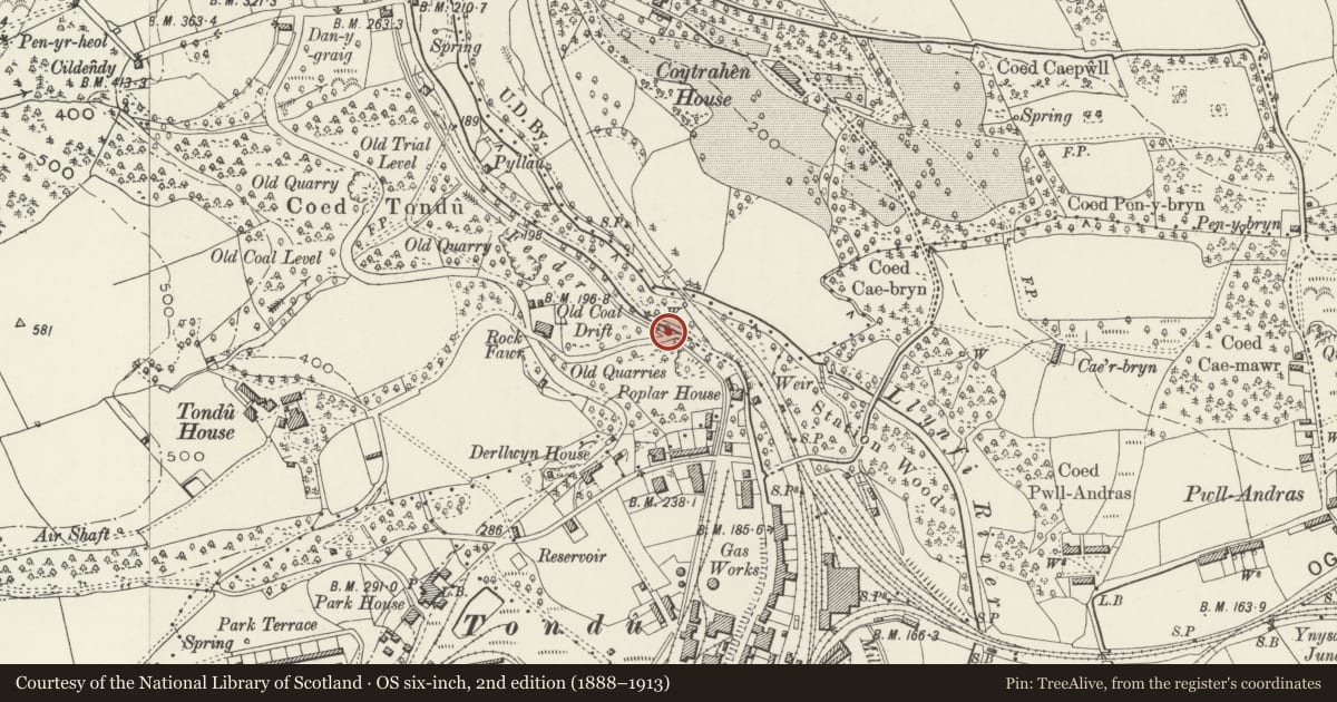 Ordnance Survey six-inch map, 2nd edition (1888–1913) covering the location of North portal and wings of the Rock-fawr Bridge on Sir Robert Price's private tramway, Llangynwyd Lower, Bridgend, with a pin at the register's coordinates