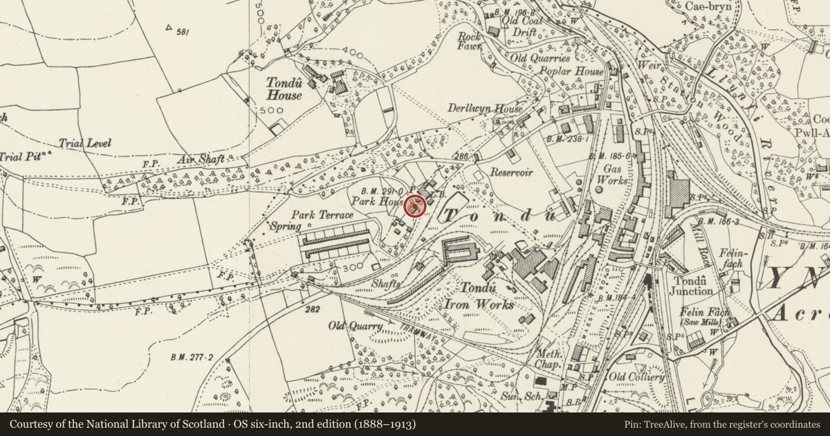 Ordnance Survey six-inch map, 2nd edition (1888–1913) covering the location of Park Cottage, Ynysawdre, Bridgend, with a pin at the register's coordinates