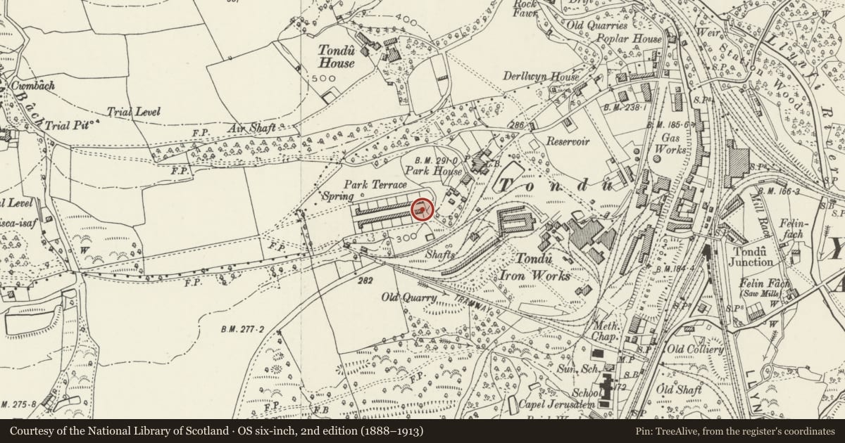 Ordnance Survey six-inch map, 2nd edition (1888–1913) covering the location of 1-26 Park Terrace (consec), Ynysawdre, Bridgend, with a pin at the register's coordinates
