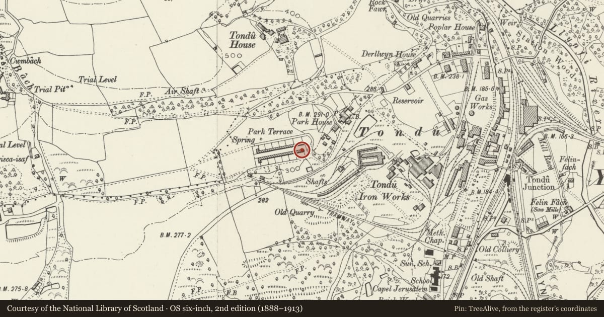 Ordnance Survey six-inch map, 2nd edition (1888–1913) covering the location of 1-26 Park Terrace (consec), Ynysawdre, Bridgend, with a pin at the register's coordinates