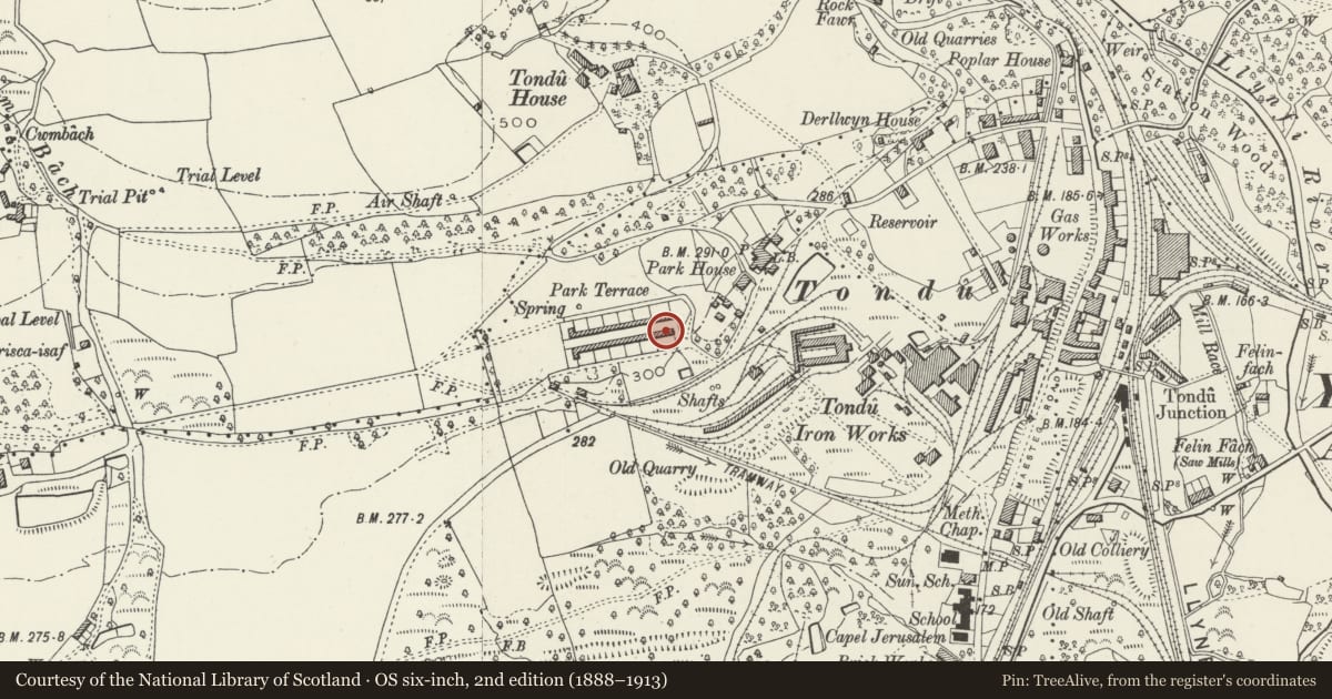 Ordnance Survey six-inch map, 2nd edition (1888–1913) covering the location of 1-26 Park Terrace (consec), Ynysawdre, Bridgend, with a pin at the register's coordinates