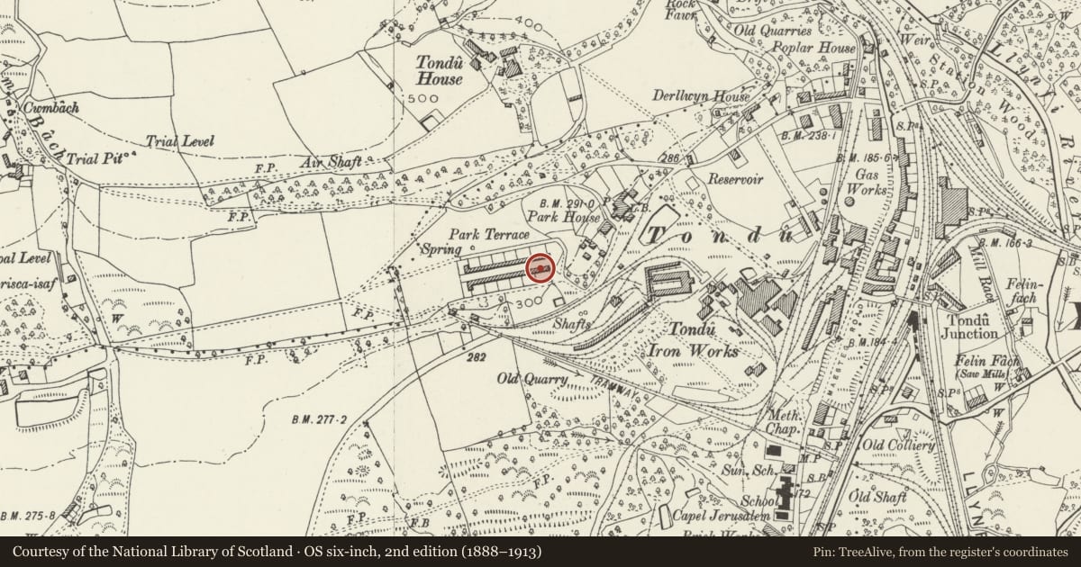 Ordnance Survey six-inch map, 2nd edition (1888–1913) covering the location of 1-26 Park Terrace (consec), Ynysawdre, Bridgend, with a pin at the register's coordinates