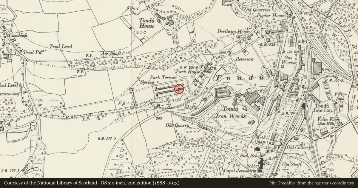 Ordnance Survey six-inch map, 2nd edition (1888–1913) covering the location of 1-26 Park Terrace (consec), Ynysawdre, Bridgend, with a pin at the register's coordinates