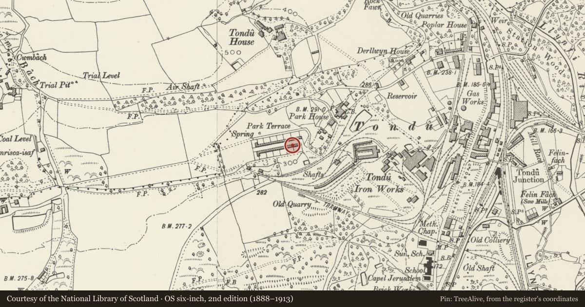 Ordnance Survey six-inch map, 2nd edition (1888–1913) covering the location of 1-26 Park Terrace (consec), Ynysawdre, Bridgend, with a pin at the register's coordinates