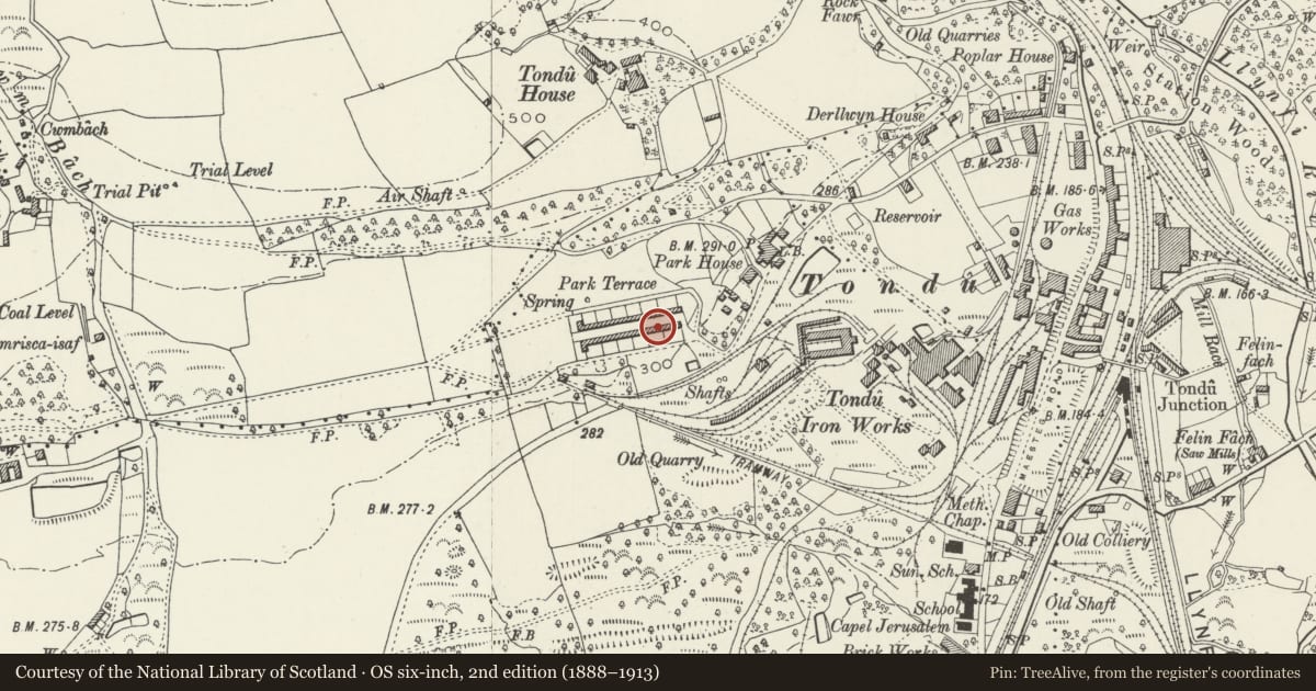 Ordnance Survey six-inch map, 2nd edition (1888–1913) covering the location of 1-26 Park Terrace (consec), Ynysawdre, Bridgend, with a pin at the register's coordinates
