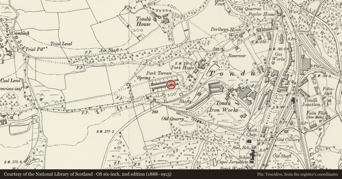 Ordnance Survey six-inch map, 2nd edition (1888–1913) covering the location of 1-26 Park Terrace (consec), Ynysawdre, Bridgend, with a pin at the register's coordinates