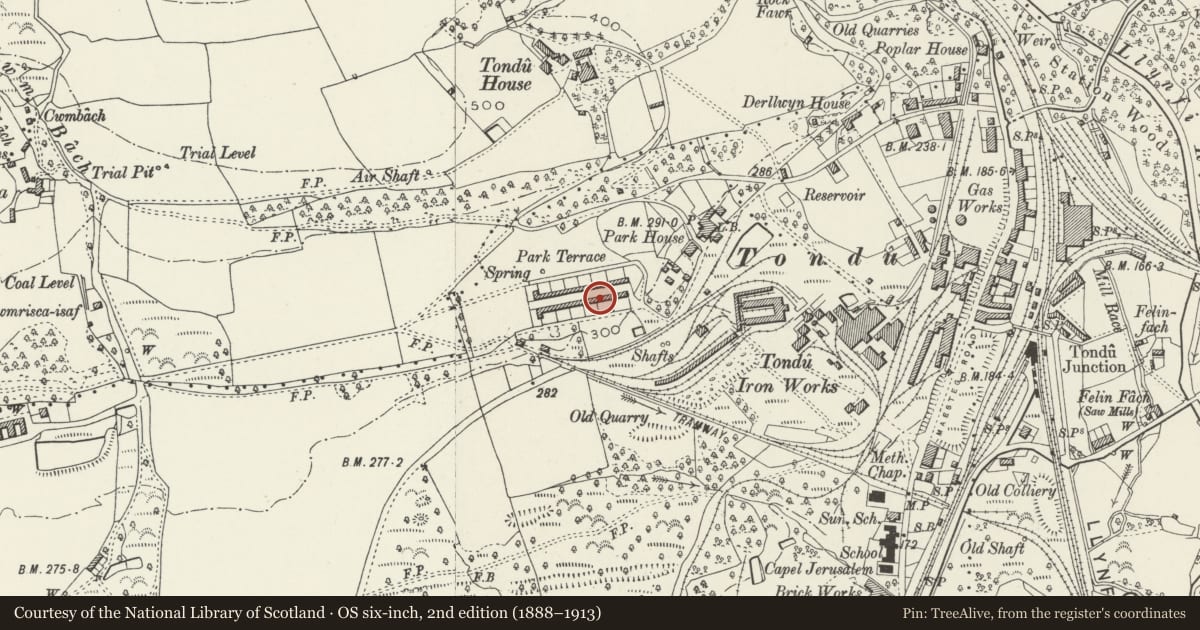Ordnance Survey six-inch map, 2nd edition (1888–1913) covering the location of 1-26 Park Terrace (consec), Ynysawdre, Bridgend, with a pin at the register's coordinates