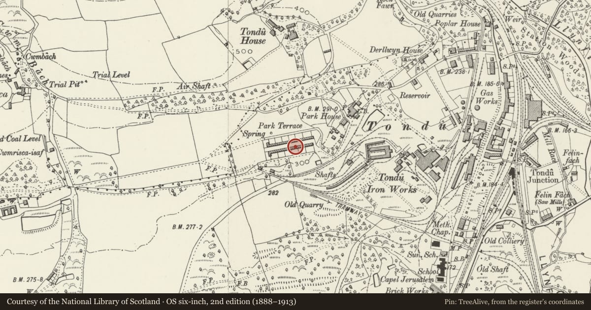 Ordnance Survey six-inch map, 2nd edition (1888–1913) covering the location of 1-26 Park Terrace (consec), Ynysawdre, Bridgend, with a pin at the register's coordinates