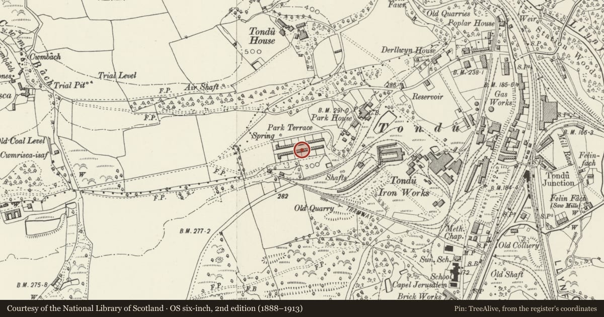 Ordnance Survey six-inch map, 2nd edition (1888–1913) covering the location of 1-26 Park Terrace (consec), Ynysawdre, Bridgend, with a pin at the register's coordinates