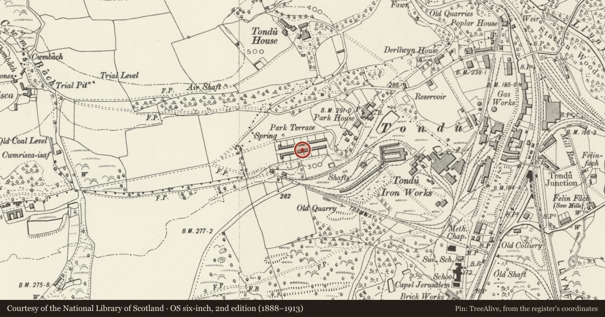 Ordnance Survey six-inch map, 2nd edition (1888–1913) covering the location of 1-26 Park Terrace (consec), Ynysawdre, Bridgend, with a pin at the register's coordinates