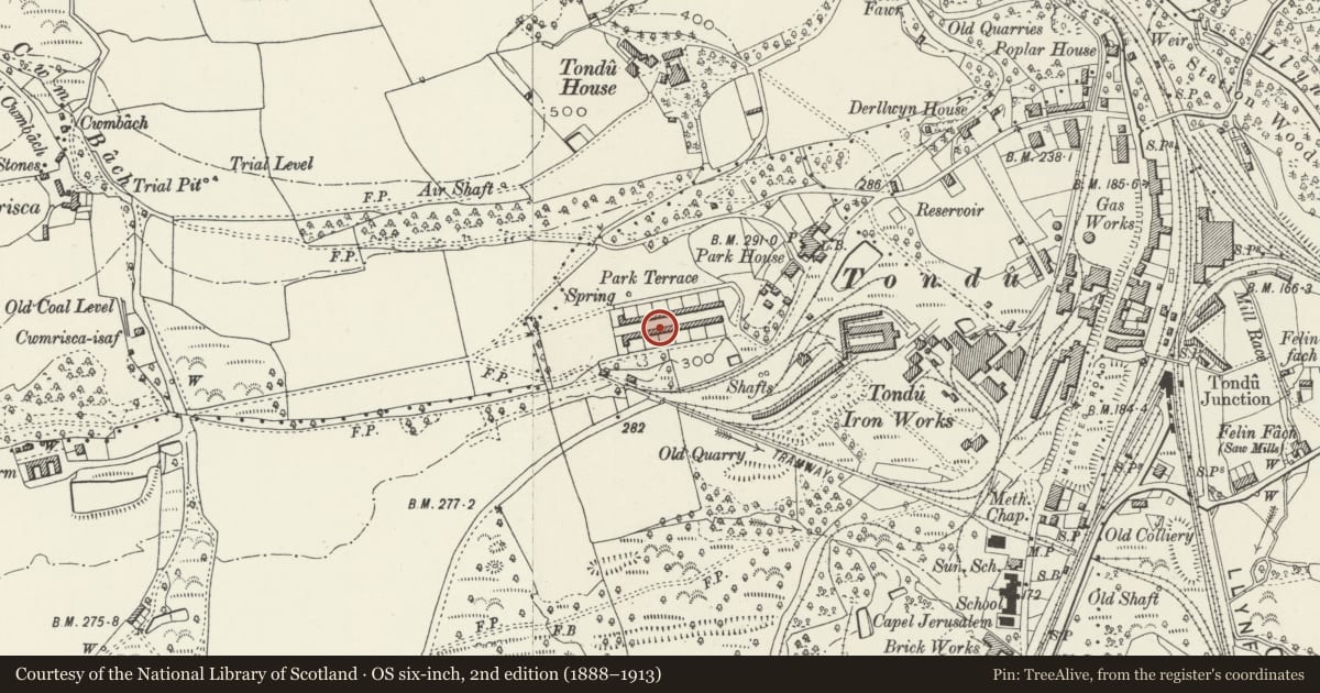 Ordnance Survey six-inch map, 2nd edition (1888–1913) covering the location of 1-26 Park Terrace (consec), Ynysawdre, Bridgend, with a pin at the register's coordinates