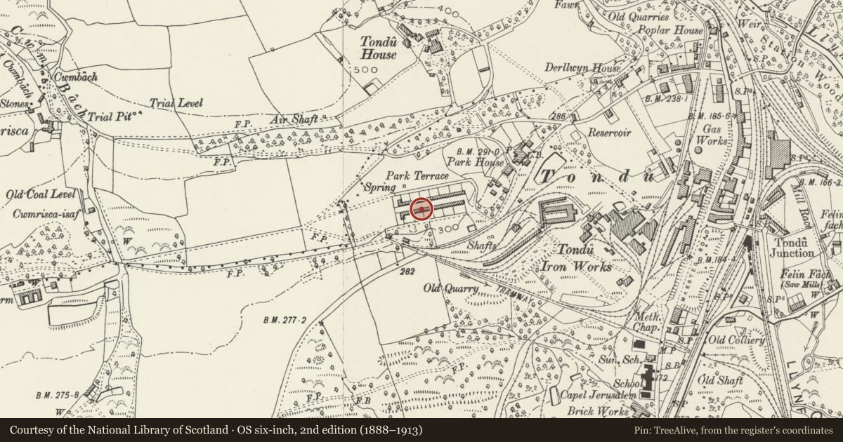 Ordnance Survey six-inch map, 2nd edition (1888–1913) covering the location of 1-26 Park Terrace (consec), Ynysawdre, Bridgend, with a pin at the register's coordinates