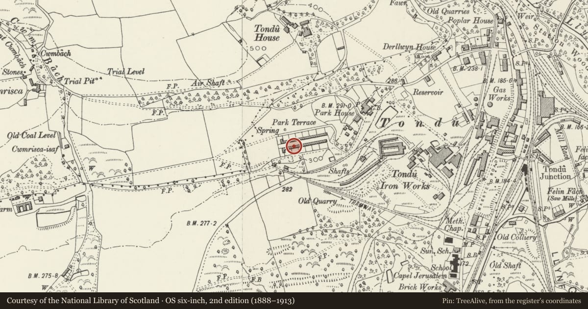 Ordnance Survey six-inch map, 2nd edition (1888–1913) covering the location of 1-26 Park Terrace (consec), Ynysawdre, Bridgend, with a pin at the register's coordinates