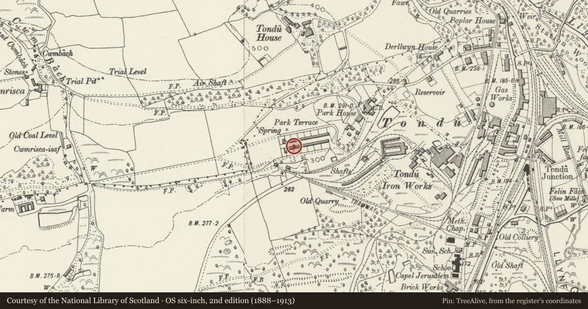 Ordnance Survey six-inch map, 2nd edition (1888–1913) covering the location of 1-26 Park Terrace (consec), Ynysawdre, Bridgend, with a pin at the register's coordinates