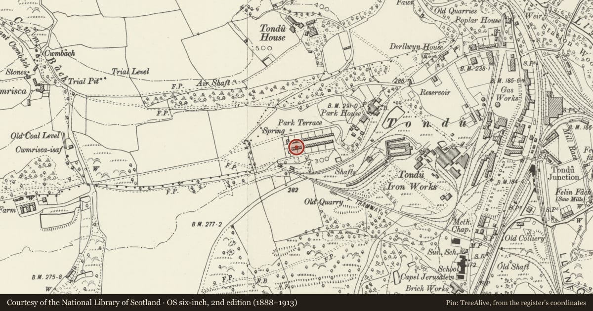 Ordnance Survey six-inch map, 2nd edition (1888–1913) covering the location of 1-26 Park Terrace (consec), Ynysawdre, Bridgend, with a pin at the register's coordinates
