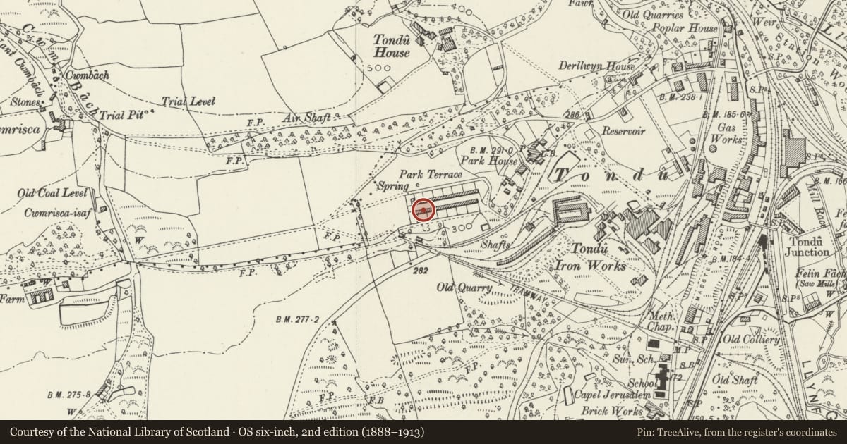 Ordnance Survey six-inch map, 2nd edition (1888–1913) covering the location of 1-26 Park Terrace (consec), Ynysawdre, Bridgend, with a pin at the register's coordinates