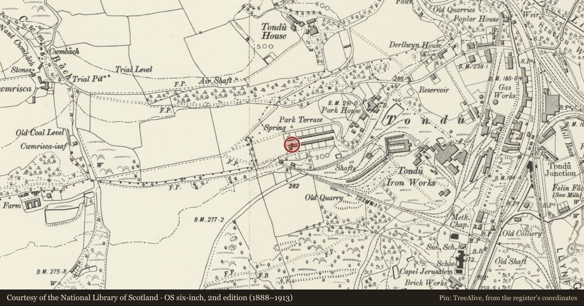 Ordnance Survey six-inch map, 2nd edition (1888–1913) covering the location of 1-26 Park Terrace (consec), Ynysawdre, Bridgend, with a pin at the register's coordinates