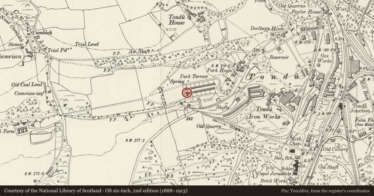 Ordnance Survey six-inch map, 2nd edition (1888–1913) covering the location of 1-26 Park Terrace (consec), Ynysawdre, Bridgend, with a pin at the register's coordinates