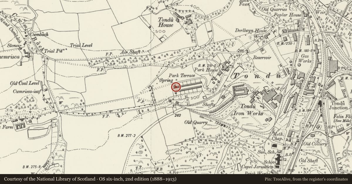 Ordnance Survey six-inch map, 2nd edition (1888–1913) covering the location of 27-52 Park Terrace (consec), Ynysawdre, Bridgend, with a pin at the register's coordinates