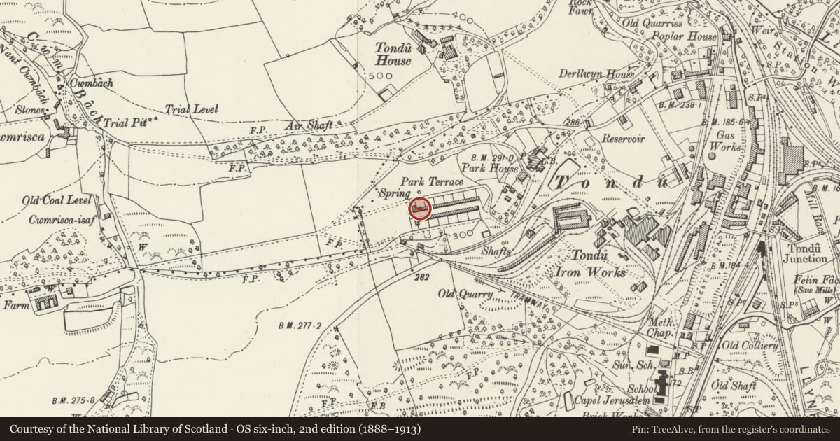 Ordnance Survey six-inch map, 2nd edition (1888–1913) covering the location of 27-52 Park Terrace (consec), Ynysawdre, Bridgend, with a pin at the register's coordinates