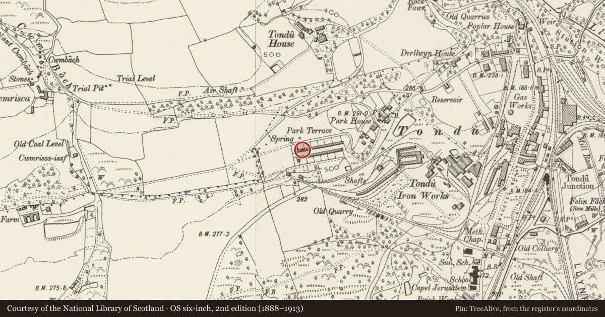 Ordnance Survey six-inch map, 2nd edition (1888–1913) covering the location of 27-52 Park Terrace (consec), Ynysawdre, Bridgend, with a pin at the register's coordinates