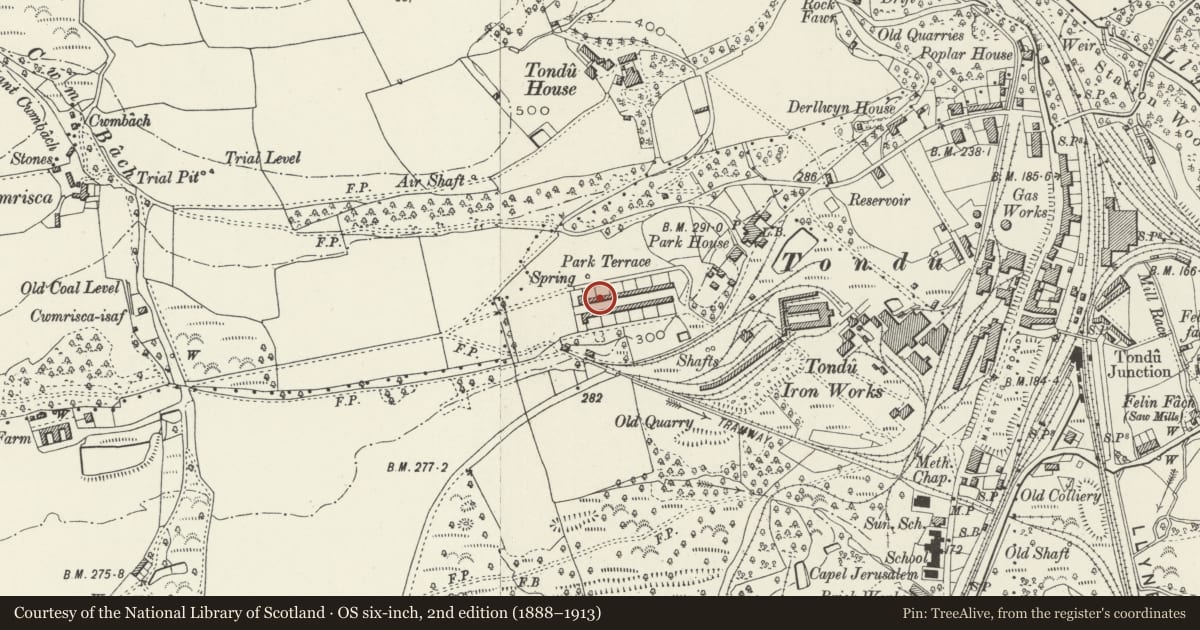 Ordnance Survey six-inch map, 2nd edition (1888–1913) covering the location of 27-52 Park Terrace (consec), Ynysawdre, Bridgend, with a pin at the register's coordinates