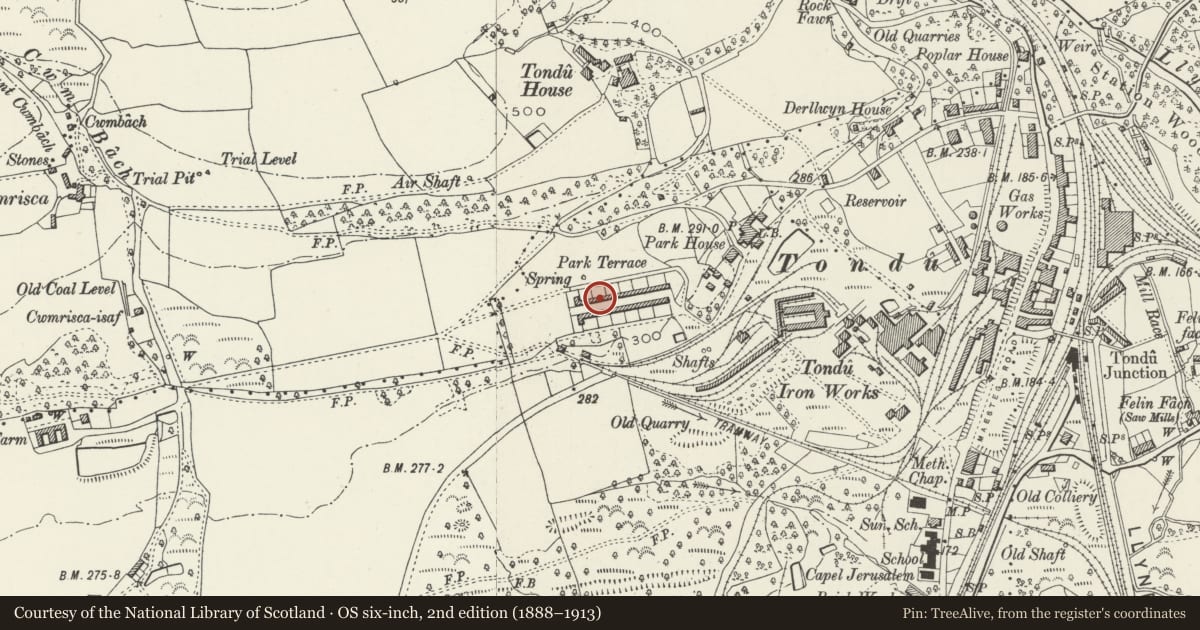 Ordnance Survey six-inch map, 2nd edition (1888–1913) covering the location of 27-52 Park Terrace (consec), Ynysawdre, Bridgend, with a pin at the register's coordinates
