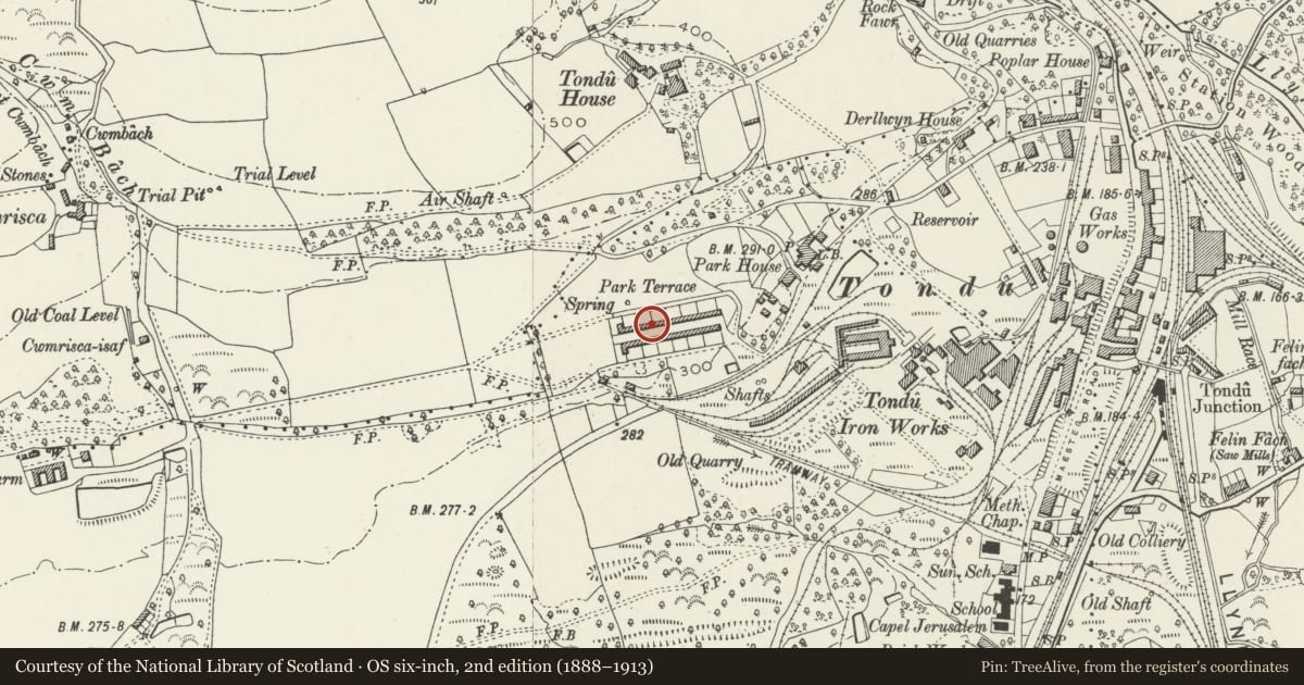 Ordnance Survey six-inch map, 2nd edition (1888–1913) covering the location of 27-52 Park Terrace (consec), Ynysawdre, Bridgend, with a pin at the register's coordinates