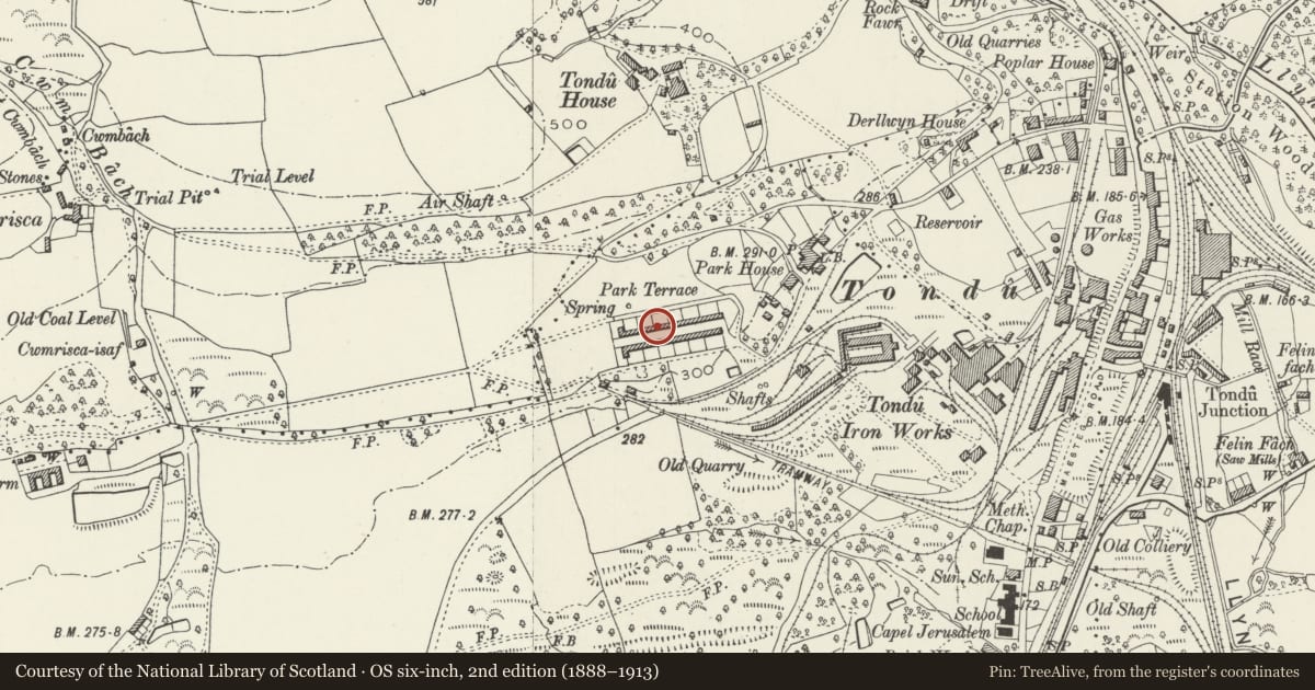 Ordnance Survey six-inch map, 2nd edition (1888–1913) covering the location of 27-52 Park Terrace (consec), Ynysawdre, Bridgend, with a pin at the register's coordinates