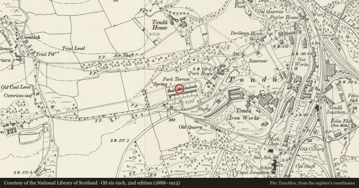 Ordnance Survey six-inch map, 2nd edition (1888–1913) covering the location of 27-52 Park Terrace (consec), Ynysawdre, Bridgend, with a pin at the register's coordinates