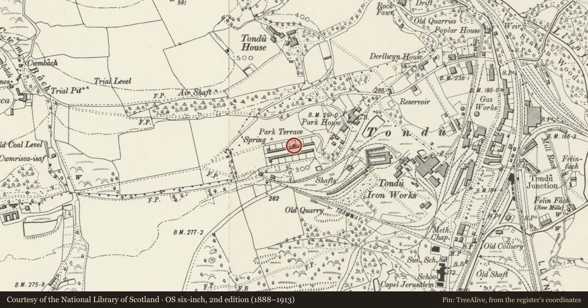 Ordnance Survey six-inch map, 2nd edition (1888–1913) covering the location of 27-52 Park Terrace (consec), Ynysawdre, Bridgend, with a pin at the register's coordinates