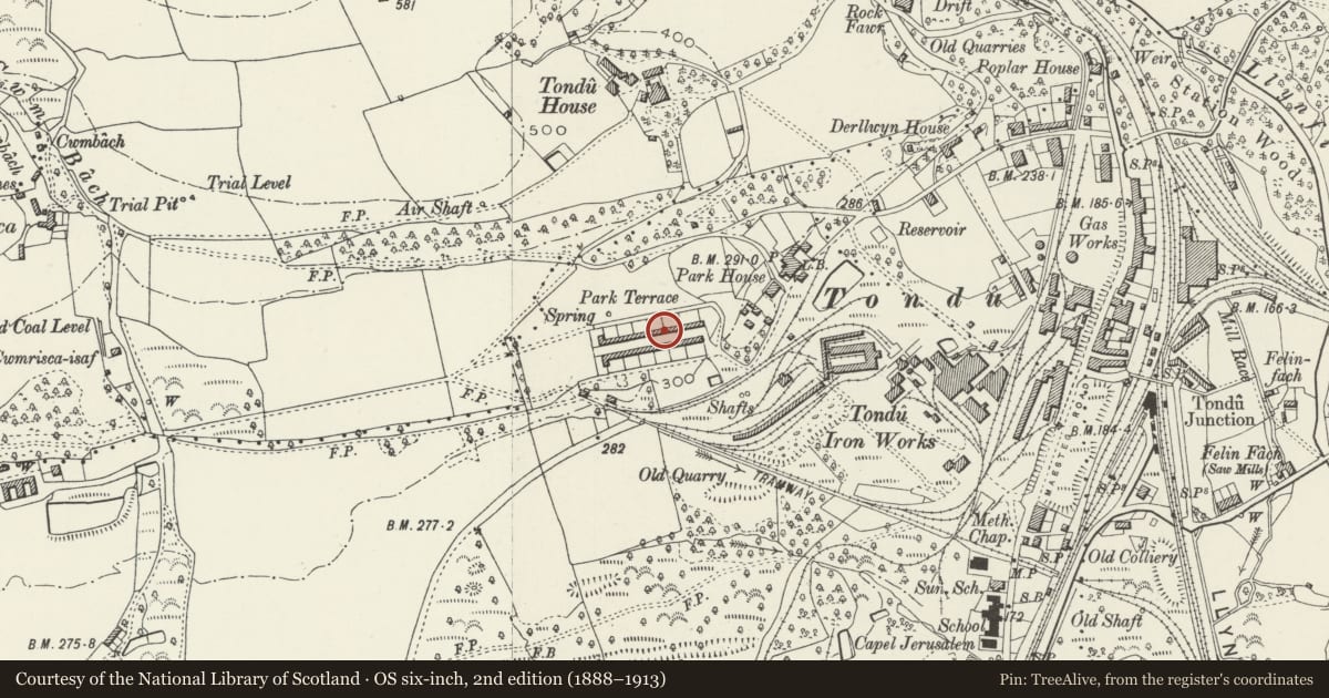 Ordnance Survey six-inch map, 2nd edition (1888–1913) covering the location of 27-52 Park Terrace (consec), Ynysawdre, Bridgend, with a pin at the register's coordinates