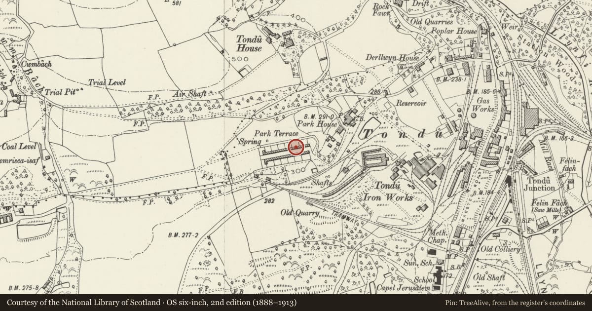 Ordnance Survey six-inch map, 2nd edition (1888–1913) covering the location of 27-52 Park Terrace (consec), Ynysawdre, Bridgend, with a pin at the register's coordinates