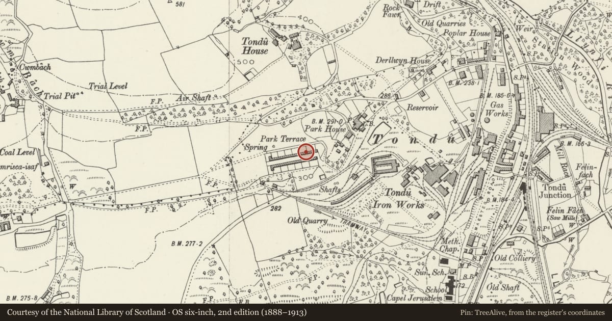 Ordnance Survey six-inch map, 2nd edition (1888–1913) covering the location of 27-52 Park Terrace (consec), Ynysawdre, Bridgend, with a pin at the register's coordinates